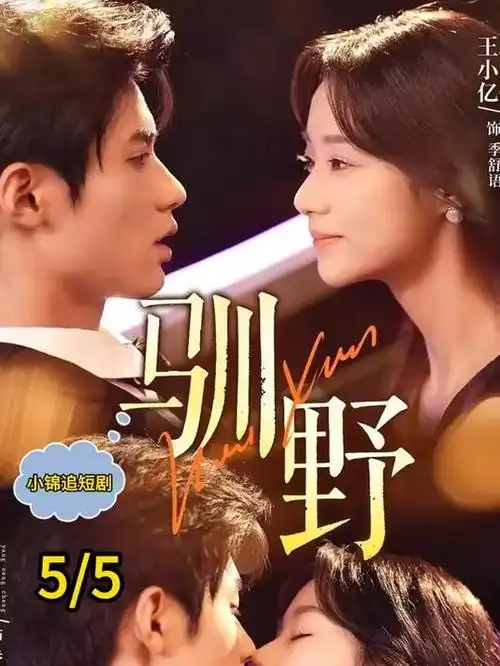 漫长的季节海报